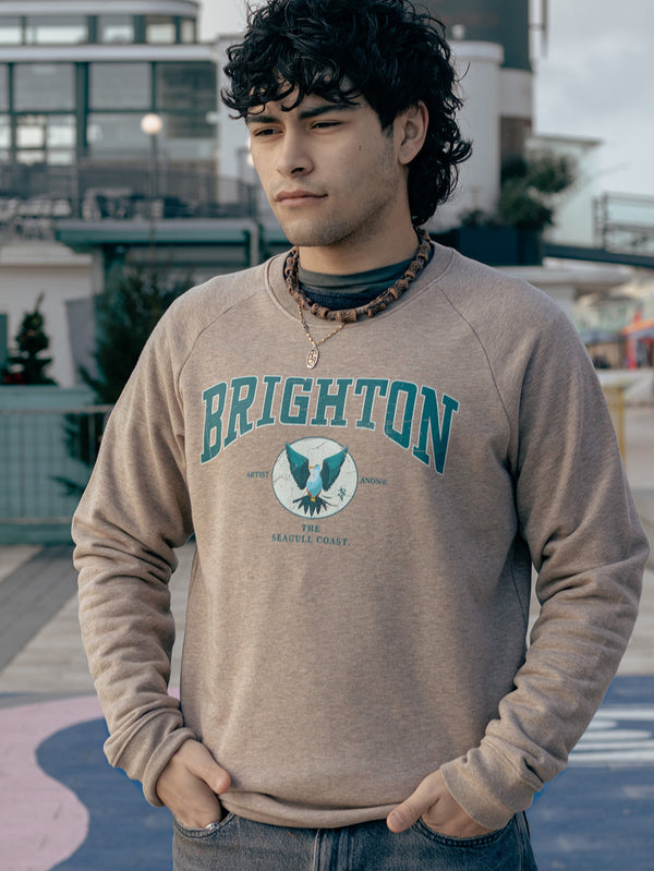 Artist Anon Brighton The Seagull Sweatshirt